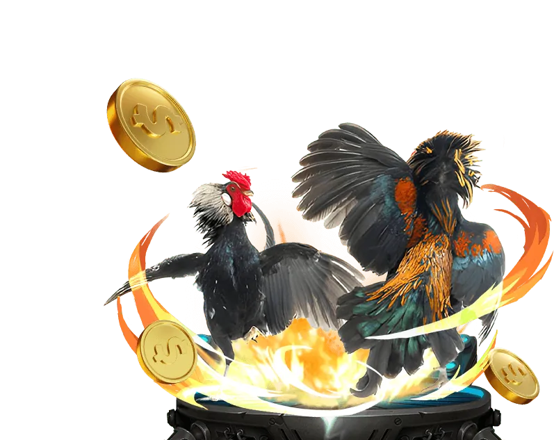 Cá cược bóng rổ tại TP88 Nổ Hũ