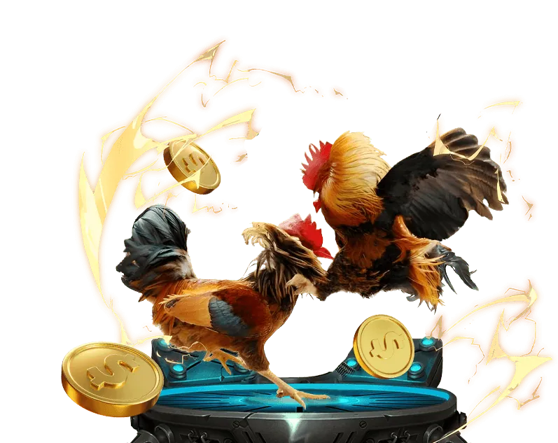 Cá cược bóng đá tại TP88 Nổ Hũ